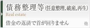 債務整理等（任意整理、破産、再生）